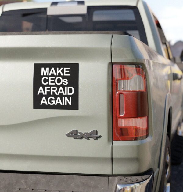 Make CEOs Afraid Again, Free Healthcare Activist Magnet Sticker