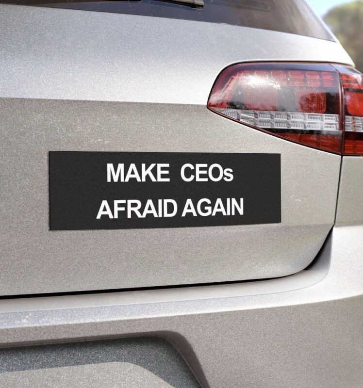 Make CEOs Afraid Again, Free Healthcare Activist Magnet Sticker