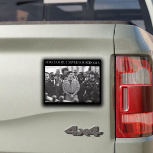 For CEOs, But Never for Schools Luigi Mangione Sticker ,Car Magnet